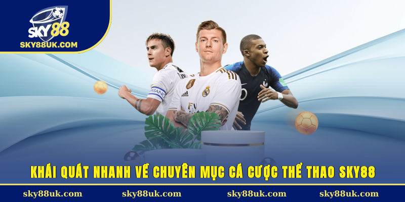 Khái quát nhanh về chuyên mục cá cược thể thao Sky88