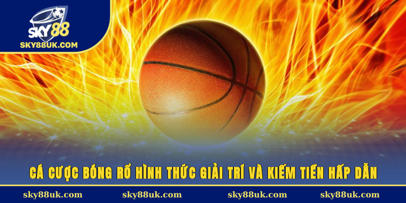 Cá cược bóng rổ, hình thức giải trí và kiếm tiền hấp dẫn 